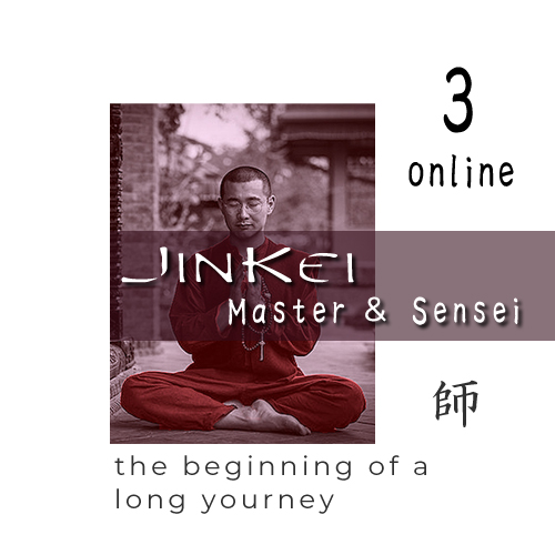 3e graad Master & Sensei online